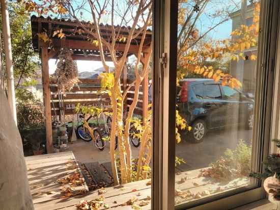 家の中からも落葉樹の紅葉を満喫！背景に見える自転車置場も天然木製ですので、窓辺の眺めが優しいですね！