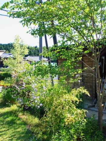 素朴で味わい深い天然の木材でつくった小屋（物置・自転車置場）の前。初夏のみずみずしい緑です。