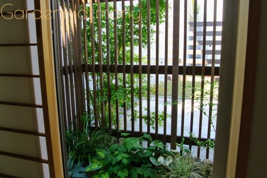 和室から眺める自然な植栽の小庭。ほっと深呼吸～(^^) ページ後半にビフォー＆アフターがございます。