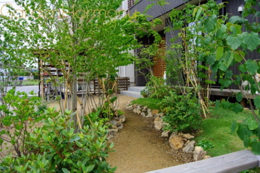 雑木の庭で散歩気分 四季を味わう清々しい庭（埼玉県幸手市）写真3・初夏から梅雨にかけての季節、緑が濃くなってきました。