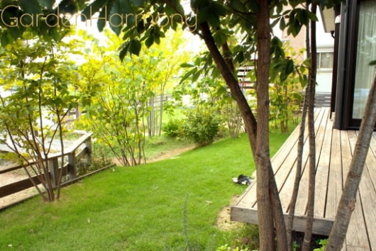 雑木の庭で散歩気分 四季を味わう清々しい庭（埼玉県幸手市）写真13・施工後（東から）
