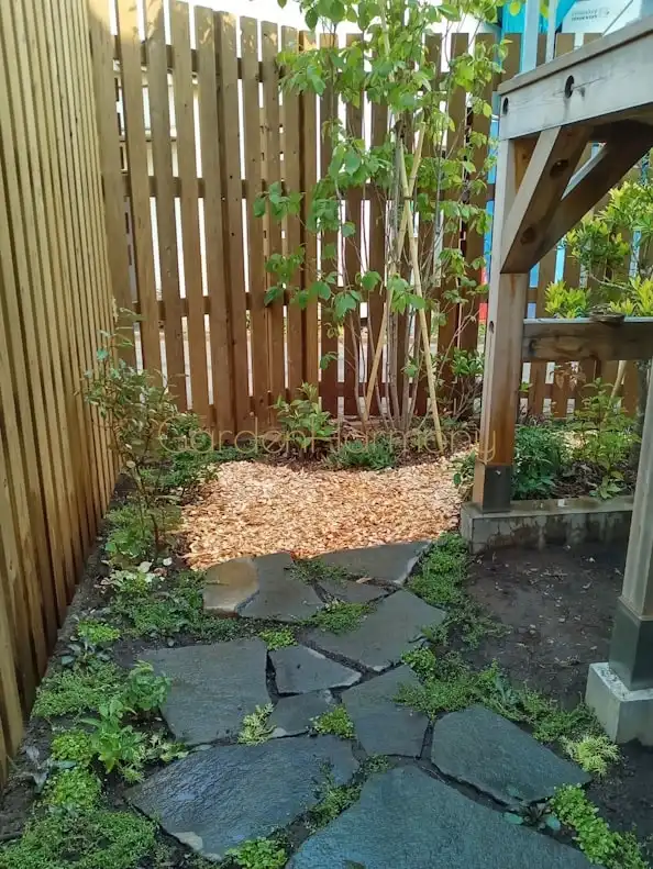 小さな雑木の庭 風が流れる緑の小道｜埼玉県のガーデンハーモニー・庭の東側入り口付近で、敷いた石の間を埋めるように植物が伸びている写真