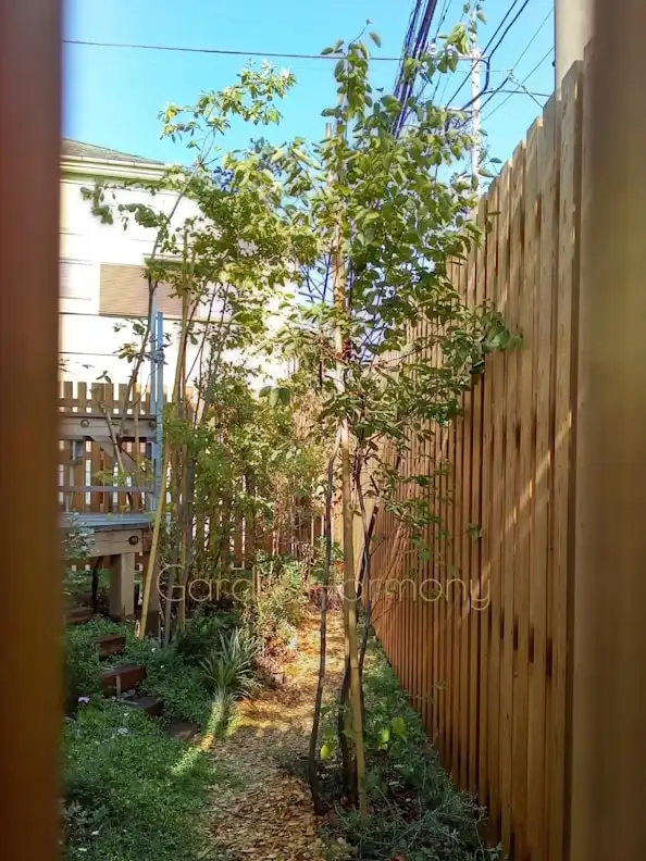 小さな雑木の庭 風が流れる緑の小道｜埼玉県のガーデンハーモニー・西の木製ドア付近からの庭の眺め・奥に見える背の高い木が南側にうねっている。