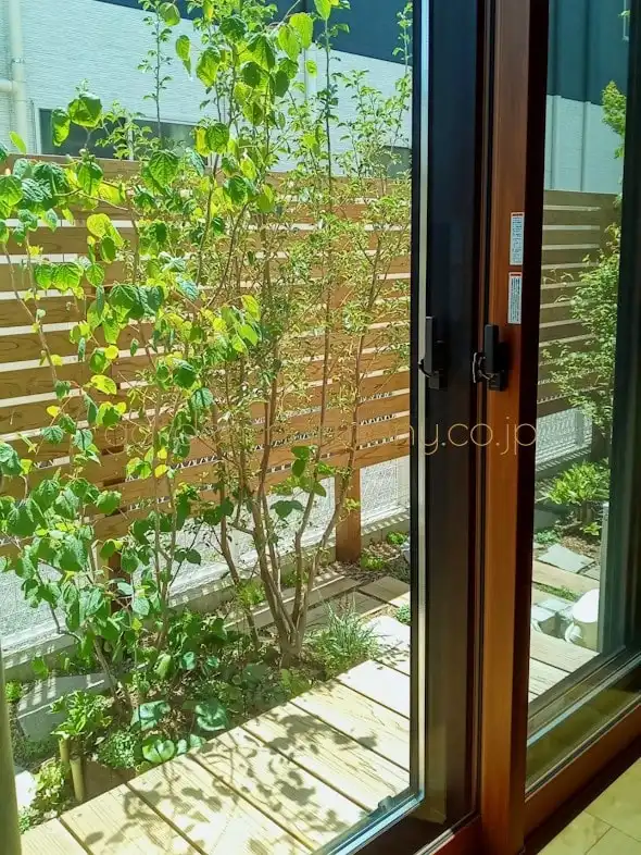 窓辺で季節の緑を楽しむ 小さな雑木の庭（埼玉県三郷市）写真7・植栽直後に窓辺から撮った写真・木々が育ち窓一面に緑が広がるのが待ち遠しい